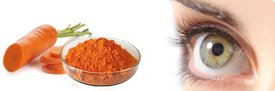 Dried carrot powder function