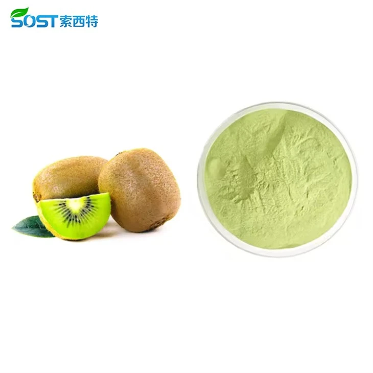 Kiwi Fruit Juice Powder2