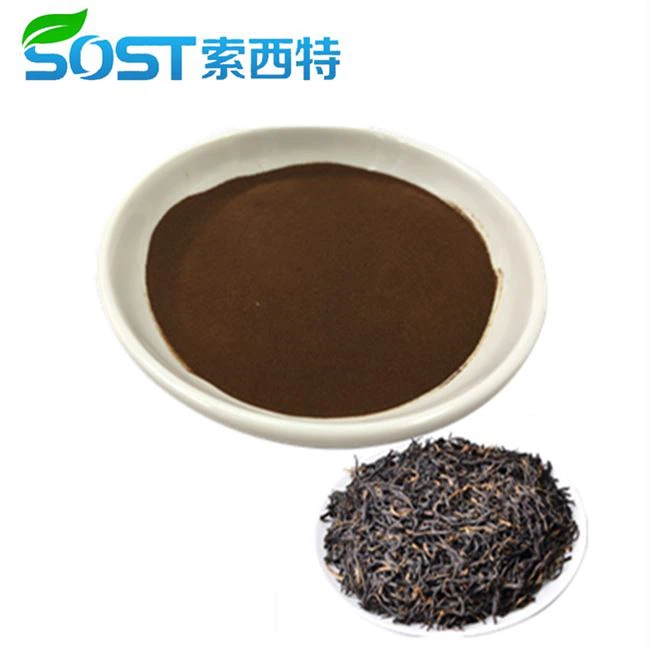 Puer