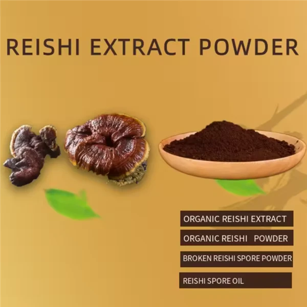 Ganoderma ekstrakti kukuni